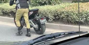 春风新款爆料视频播放