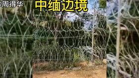 佤邦邦康最新爆料,揭秘邦康地区最新动态与热点事件